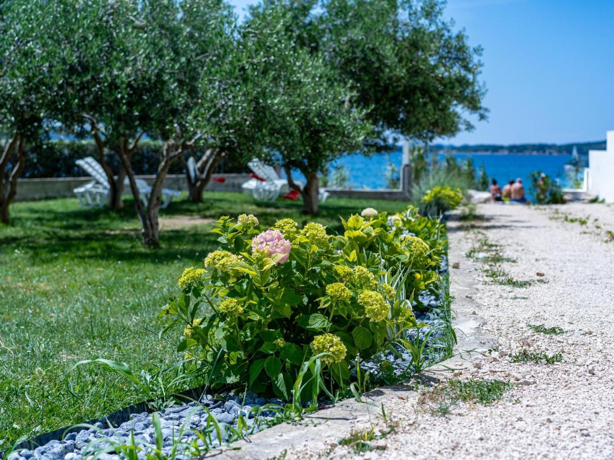 Apartmani Vinko Bibinje Bagian luar foto
